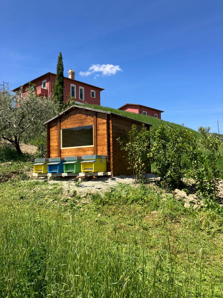 Apiario del benessere® a Castignano (Ascoli Piceno)