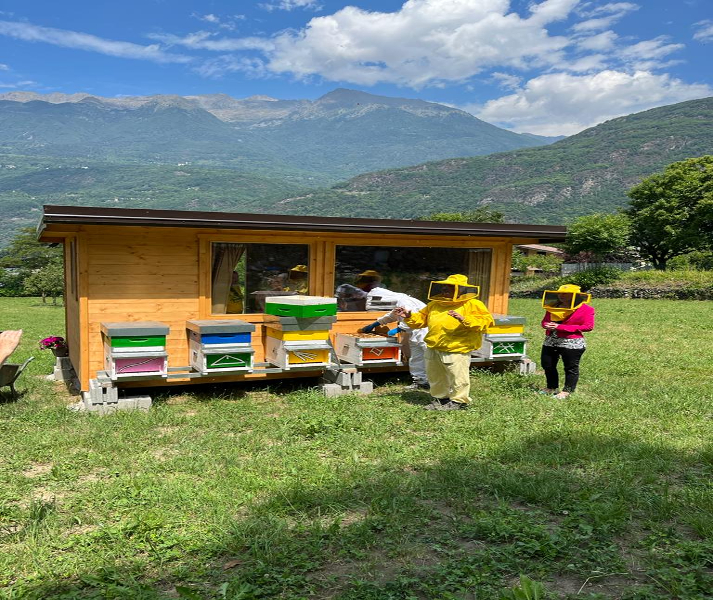 Nuovo apiario del benessere a Talamona